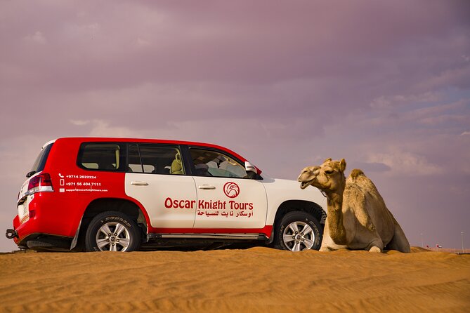 High Red Dunes with Camel Ride, Sandboarding, Falcon Show and VIP BBQ Dinner - VIP BBQ dinner and the evening shows