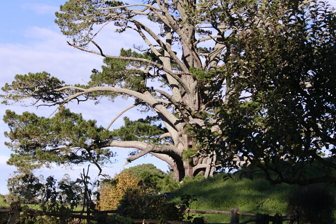 Hobbiton Afternoon Tour in Luxury Minibus from Auckland - What the $242.64 price really covers
