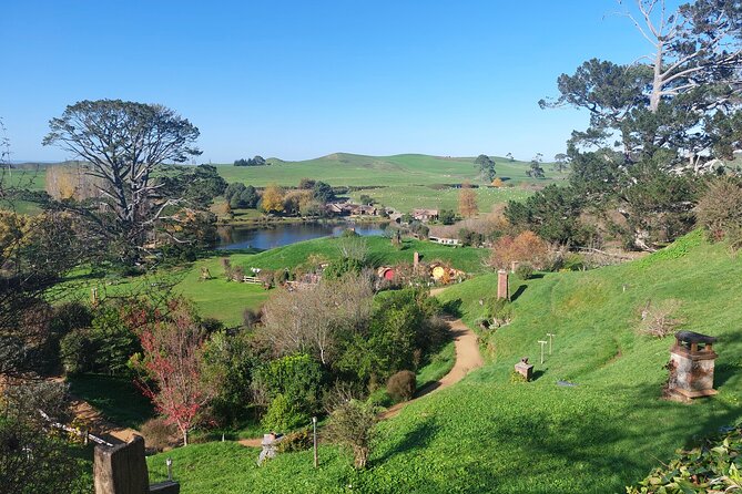 Hobbiton Afternoon Tour in Luxury Minibus from Auckland - Riding through Waikato to Matamata