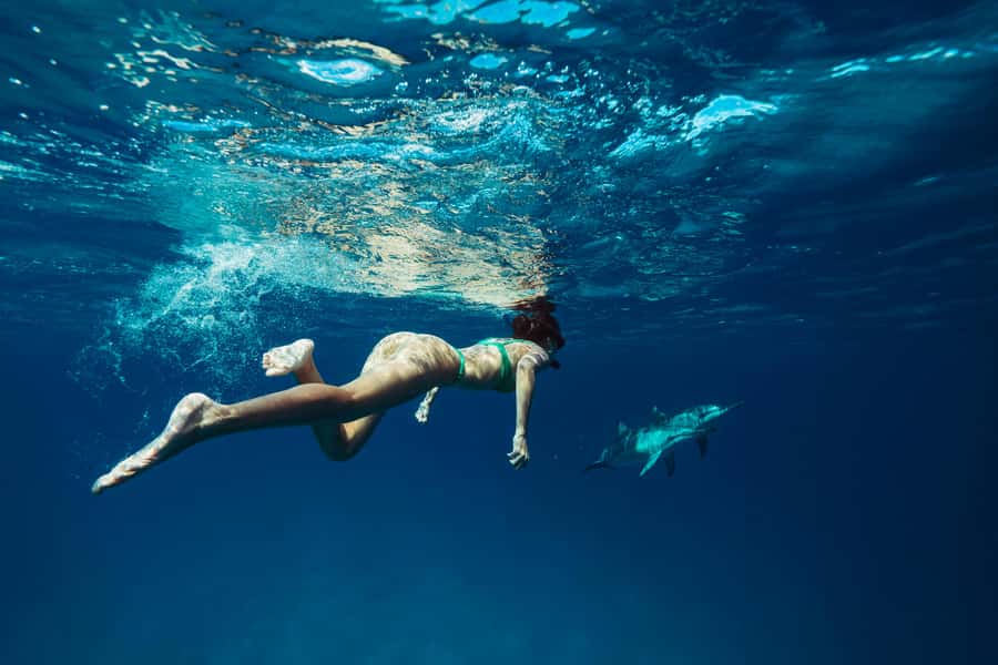 Hurghada: All-Inclusive Elite VIP Dolphin House & Massage - Setting out from Hurghada on the Ferrari