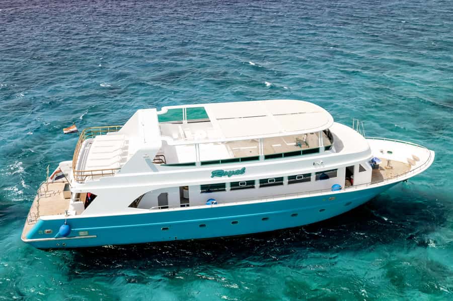 Hurghada: All-Inclusive Elite VIP Dolphin House & Massage - Who will enjoy this Hurghada cruise most?