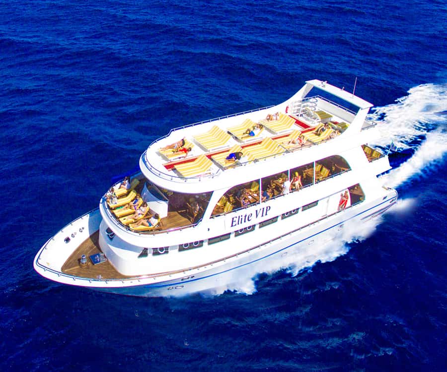 Hurghada: Elite vip snorkeling cruise with BBQ buffet lunch - A more comfortable way to see the Red Sea