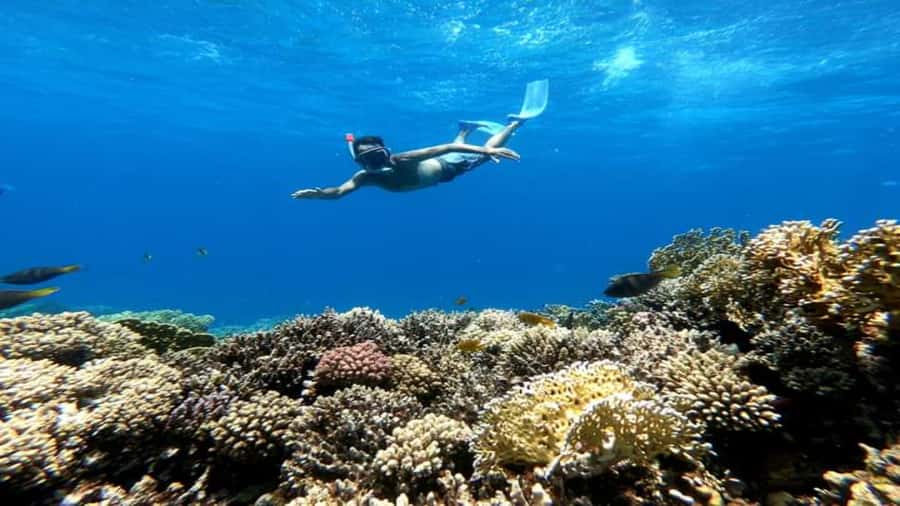 Hurghada: Luxury Cruise Trip to Orange Bay with Lunch - Lunch with a view, not a rushed snack