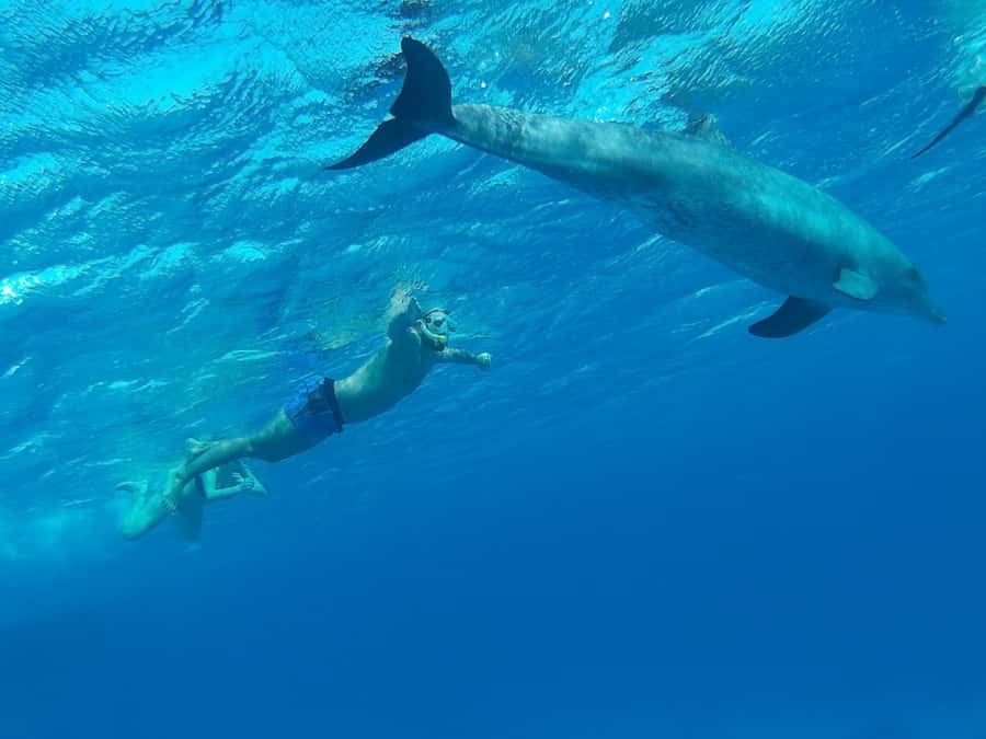 Hurghada: Luxury Cruise Trip to Orange Bay with Lunch - Who will enjoy this cruise most
