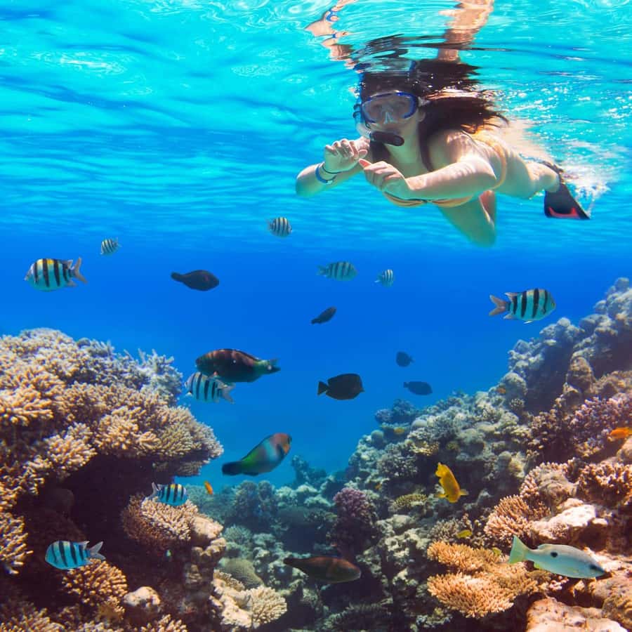 Hurghada:Luxury Diving & Snorkeling inc/Island/Lunch/Massage - Key details before you book