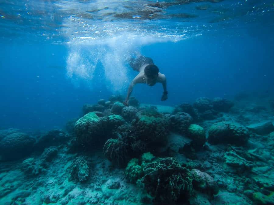 Hurghada:Luxury Diving & Snorkeling inc/Island/Lunch/Massage - Orange Bay and the long first stop