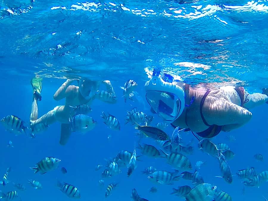 Hurghada: Luxury Giftun island w/snorkeling/lunch & Massage - Hotel pickup and the morning road to the marina