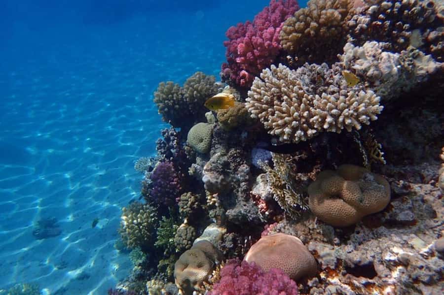 Hurghada: Luxury Private Yacht with Optional Lunch & Drinks - Sailing toward the first snorkeling site