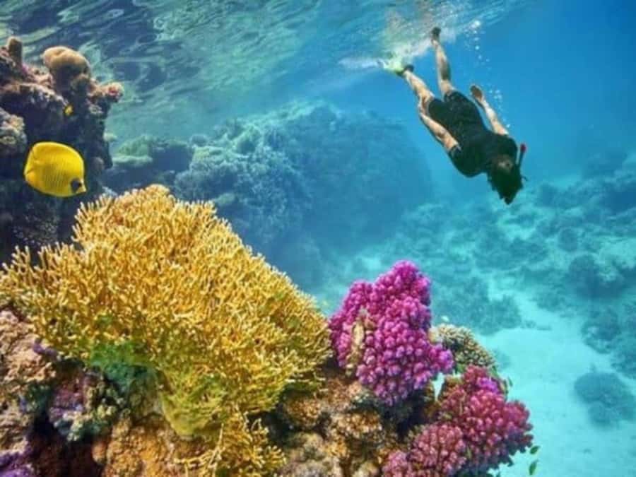 Hurghada: Luxury Private Yacht with Optional Lunch & Drinks - Guide quality and the feel of the service