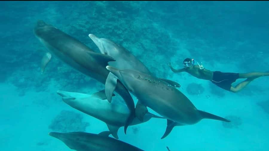 Hurghada: Luxury Yacht Trip with Personal Crew and Chef - Should you book it?