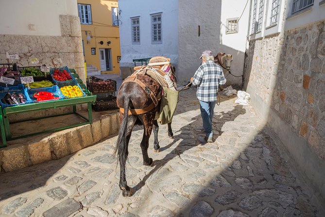 Hydra, Poros and Egina Day Cruise from Athens with Optional VIP Upgrade - Is the VIP upgrade worth $168.96?