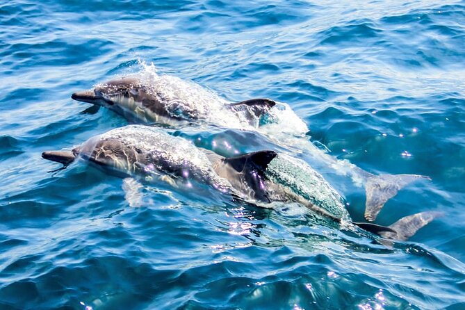 Ierapetra Chrissi Island Luxury Yacht Cruise with Meal - Who will get the most from this cruise