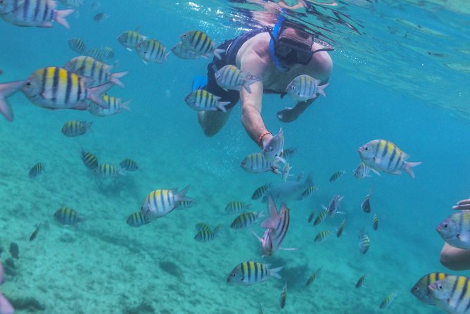 Isla Mujeres Luxury Sailing: Adults Only or Family Friendly - Snorkeling: pleasant bonus, not the reason to book