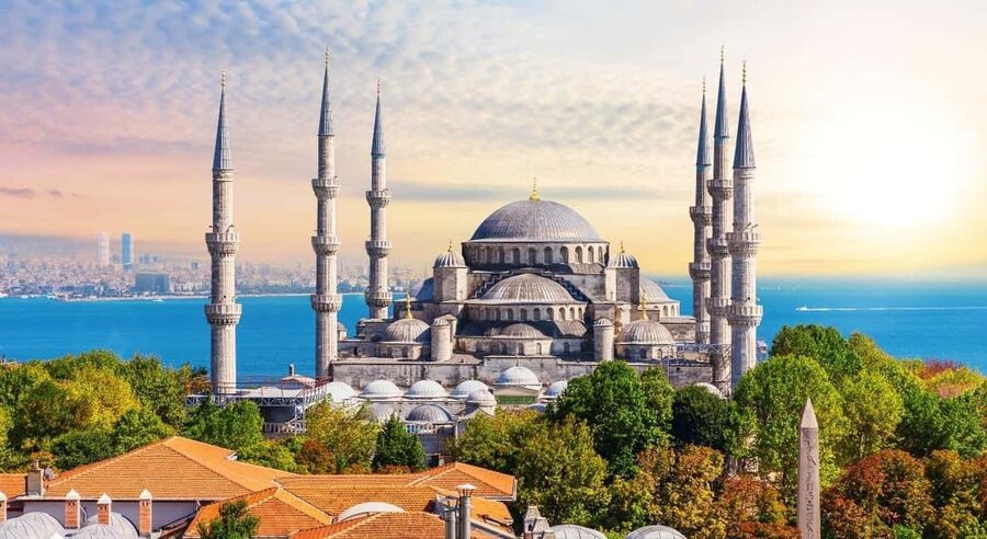 Istanbul: Full Day Private Vip Vehicle - Key points to know before booking