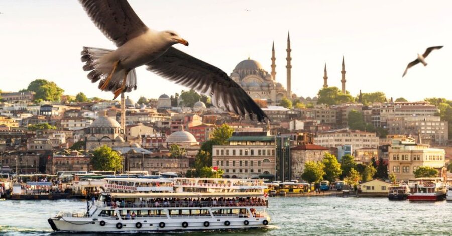 Istanbul: Private Bosphorus Cruise By Luxury Yacht - Rumeli Fortress And The Narrower Bosphorus