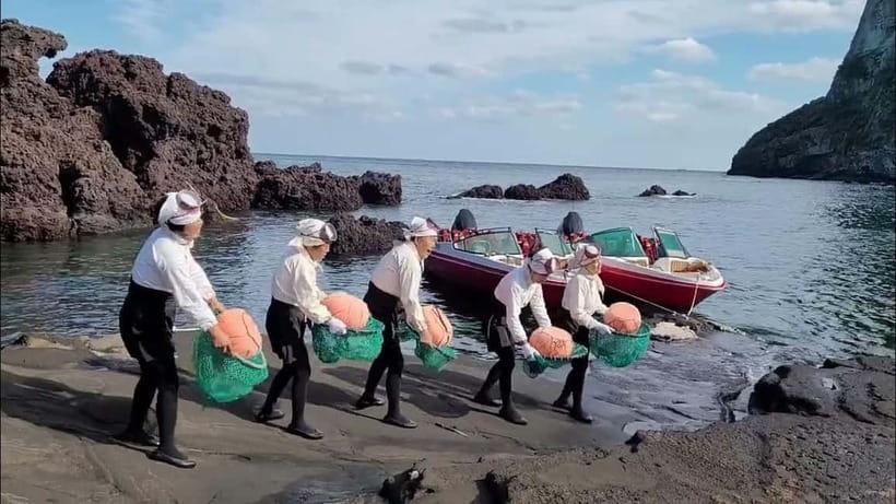 Jeju Island Private VIP Day Tour with Tickets - North Jeju: mountain, optical illusion, and city coast