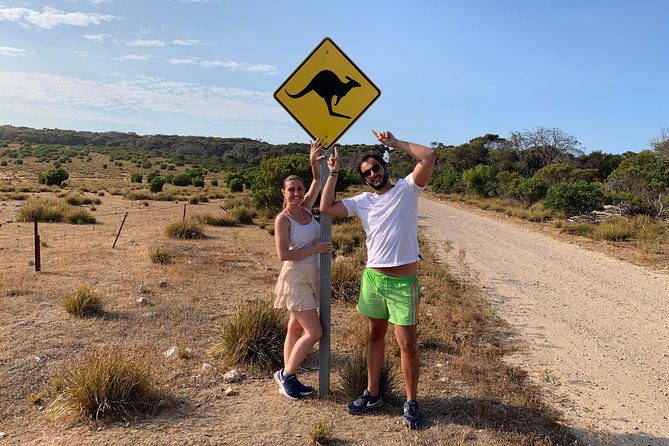 Kangaroo Island Luxury Small Group 'Island Life' Full Day Tour - Duck Lagoon and the search for koalas