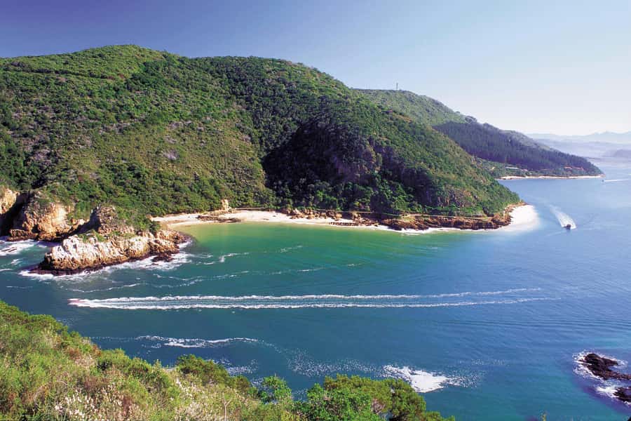 Knysna: Luxury Catamaran Marine Adventure Tour - Key points to know before you book