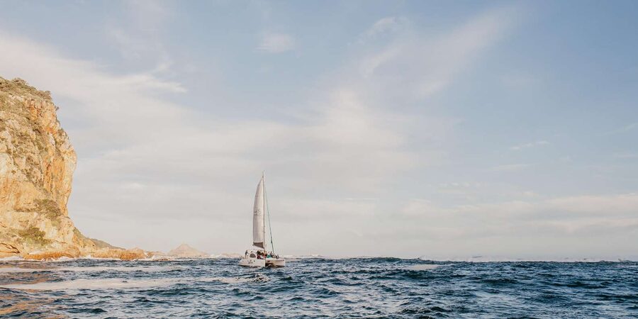 Knysna: Luxury Catamaran Marine Adventure Tour - Should you book the Knysna luxury catamaran cruise?
