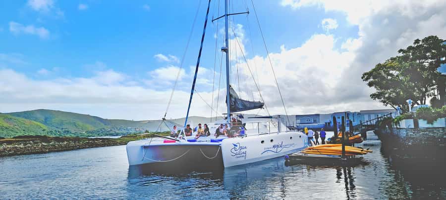 Knysna: Luxury Catamaran Marine Adventure Tour - The crew and the feel on board