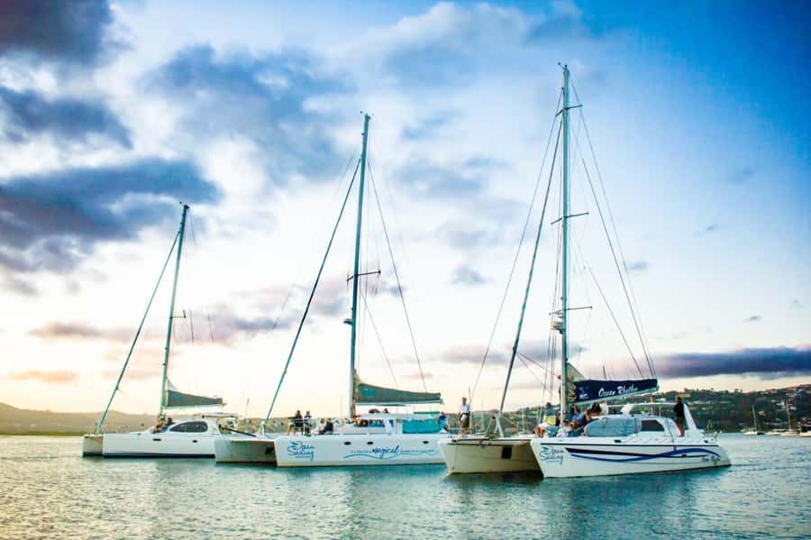 Knysna: Luxury Catamaran Marine Adventure Tour - Sailing across the Knysna Lagoon
