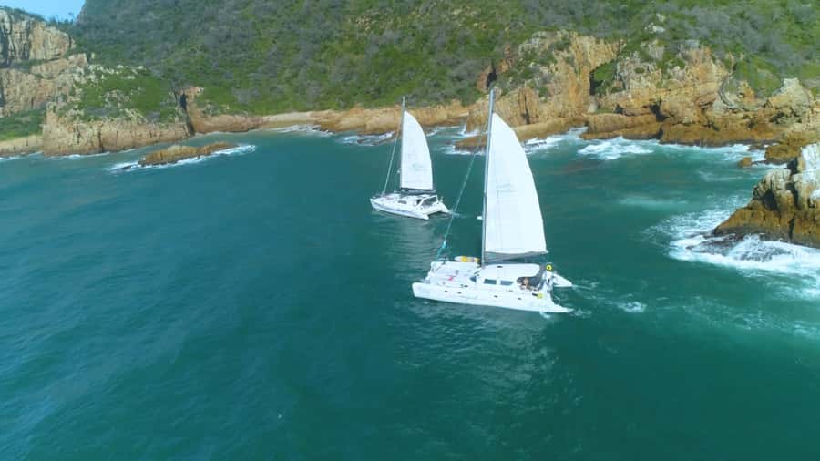 Knysna: Luxury Sunset Cruise with Captain's Barbeque - Should You Book the Knysna Sunset Cruise?