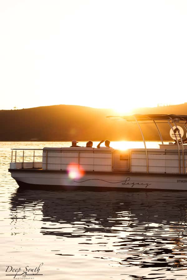 Knysna: Wine & Oyster Luxury Lounger Sunset Cruise - Wine, oysters, and the small tasting plate