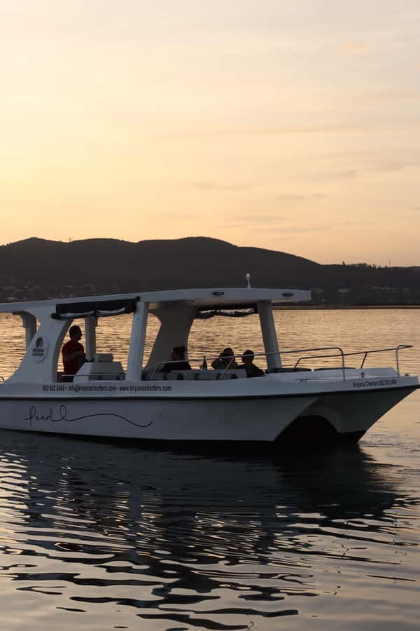 Knysna: Wine & Oyster Luxury Lounger Sunset Cruise - Practical tips for a smoother evening
