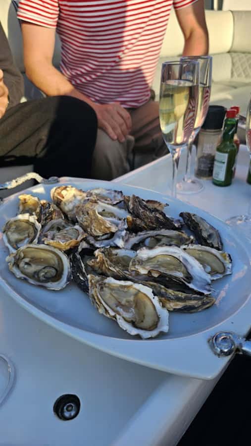 Knysna: Wine & Oyster Luxury Lounger Sunset Cruise - A guided look at the Knysna Estuary