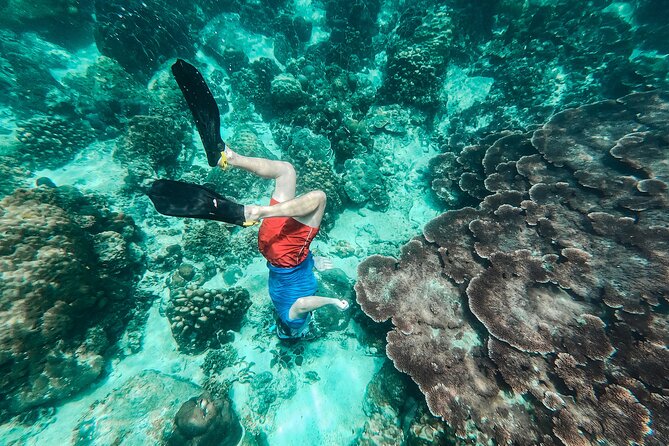 Koh Tao VIP Snorkelling Tour - The 90-minute speedboat crossing