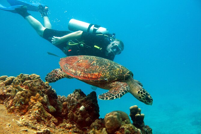 Koh Tao VIP Snorkelling Tour - Three reef stops, chosen by conditions