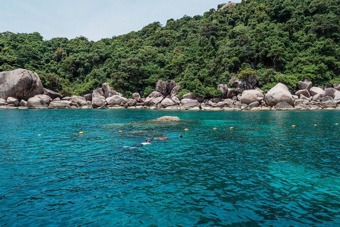 Koh Tao VIP Snorkelling Tour - Starting at Bangrak with a clear plan