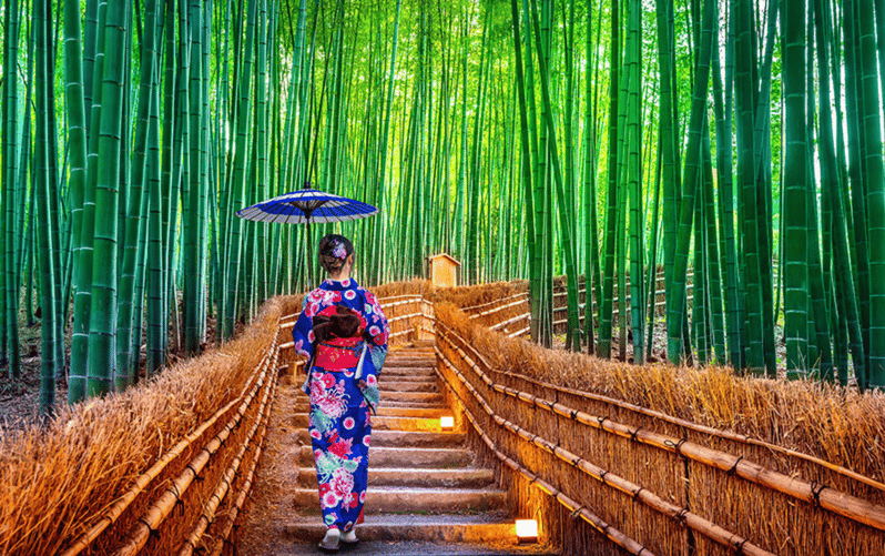 Kyoto Day Tour with Certified Tour Guide & Luxury vehicle - What This Kyoto Private Tour Is Really Buying You