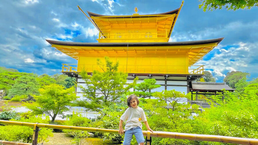 Kyoto Day Tour with Certified Tour Guide & Luxury vehicle - The Luxury Vehicle Question