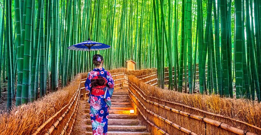 Kyoto Day Tour with Certified Tour Guide & Luxury vehicle - Starting From Kyoto, Osaka, Nara, or Kobe
