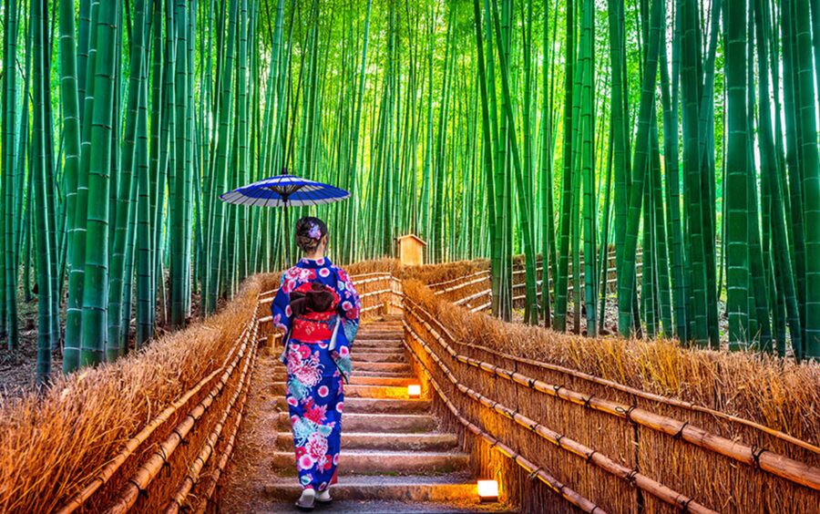 Kyoto Day Tour with Certified Tour Guide & Luxury vehicle - Kinkaku-ji: Kyoto’s Golden Landmark