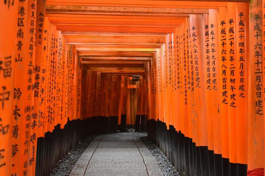 Kyoto & Nara Private Luxury Car Tour: Encounter with Deer - Walking through Fushimi Inari’s red torii