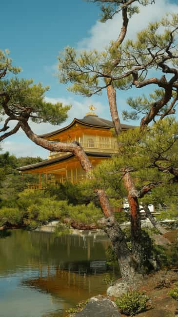 Kyoto & Nara Private Luxury Car Tour: Encounter with Deer - Sanjusangendo and its 1,001 golden figures