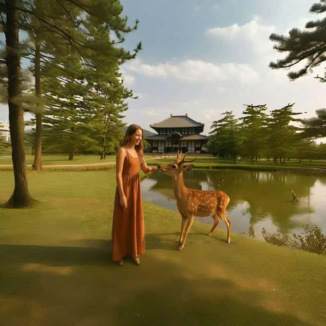 Kyoto & Nara Private Luxury Car Tour: Encounter with Deer - Choosing your final Kyoto stop