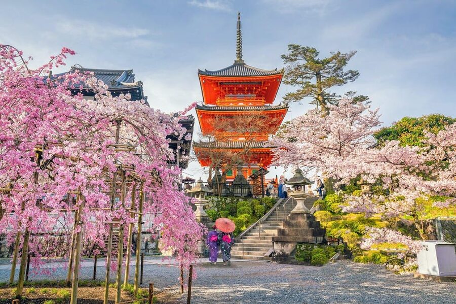 Kyoto: Private Highlights Tour with Guide and Luxury Vehicle - Practical advice for making the day work