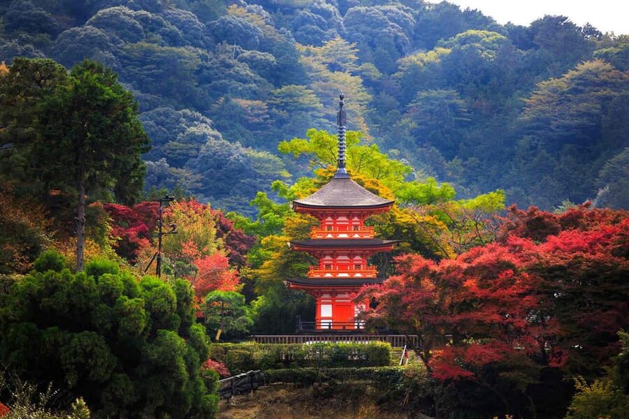 Kyoto: Private Highlights Tour with Guide and Luxury Vehicle - Gion and Nishiki Market add everyday Kyoto
