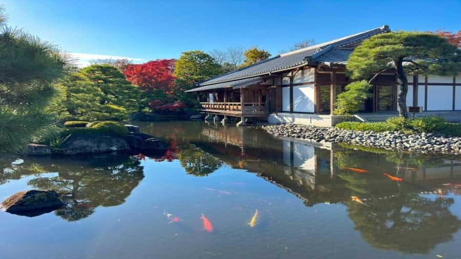 Kyoto:Private Tour/Luxury Vehicle with Guide & photographer - Why the Air-Conditioned Vehicle Matters