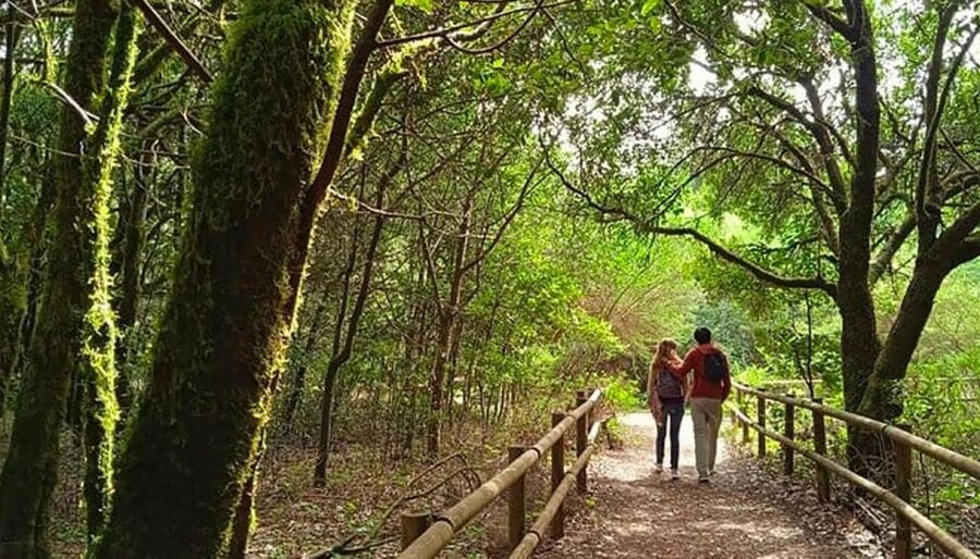 La Gomera Vip Experience - Viewpoints, ravines, and volcanic scenery