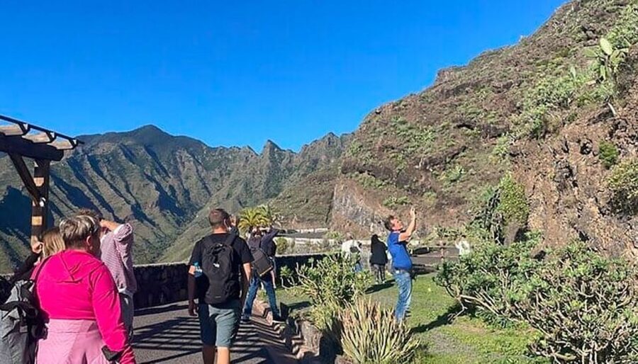 La Gomera Vip Experience - Entering Garajonay’s ancient laurel forest