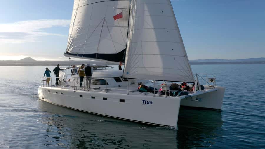 Lake Taupo: Luxury Sailing Catamaran to Māori Rock Carvings - Key points to know before sailing