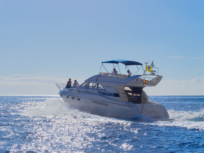 Las Galletas: Private Luxury Yacht Cruise with Lunch - Anchoring for lunch, snorkeling, and sun