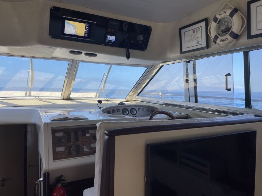 Las Galletas: Private Luxury Yacht Cruise with Lunch - Leaving Las Galletas for whale and dolphin watching