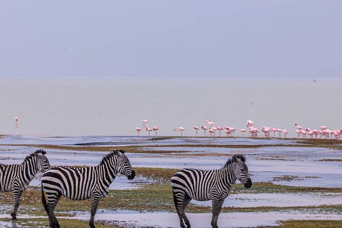 Leopard Luxury Safari in Tanzania - Day 1: A soft landing in Arusha