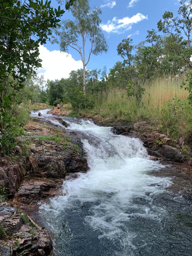 Litchfield VIP Tours, Litchfield National Park, Day Tours, - Guides make the long day feel easy