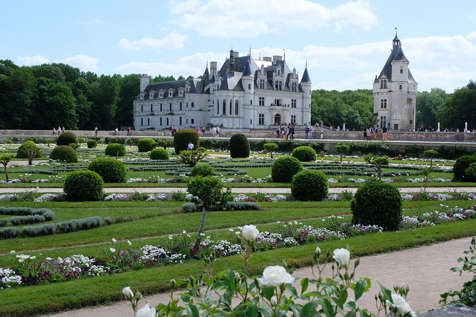 Loire Valley Castles VIP Private Tour: Chambord, Chenonceaux, Amboise - What the private guide adds